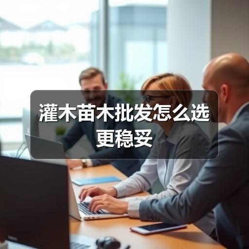 灌木苗木批发怎么选更稳妥