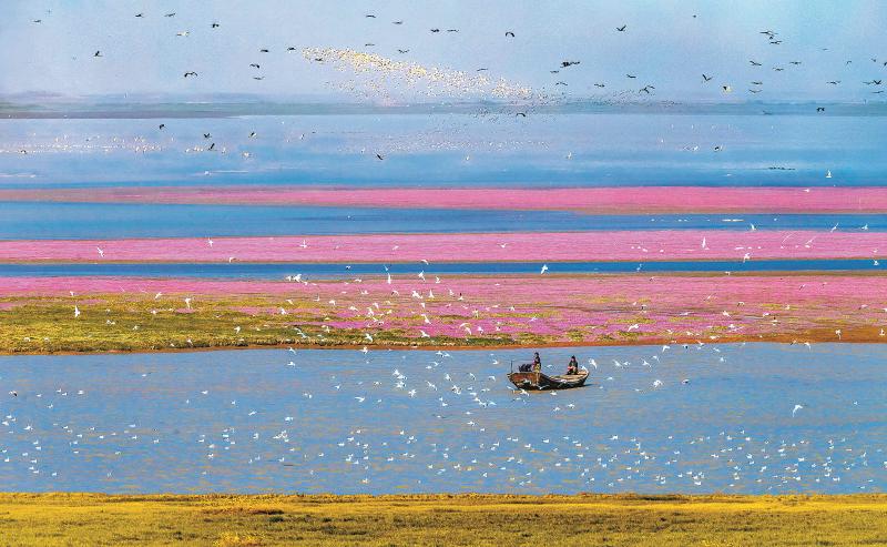 年度盘点 | 美丽江西 逐绿前行