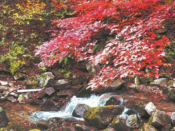 年度盘点 | 辽宁六大变化推进绿色发展