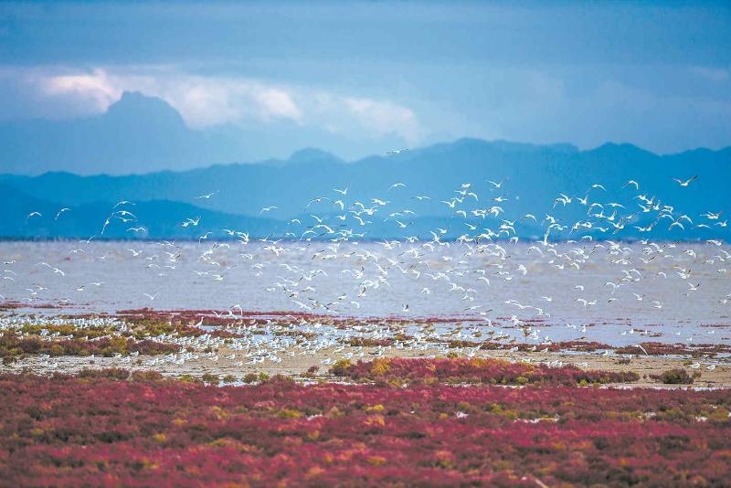 年度盘点 | 辽宁六大变化推进绿色发展