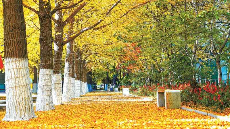 年度盘点 | 辽宁六大变化推进绿色发展