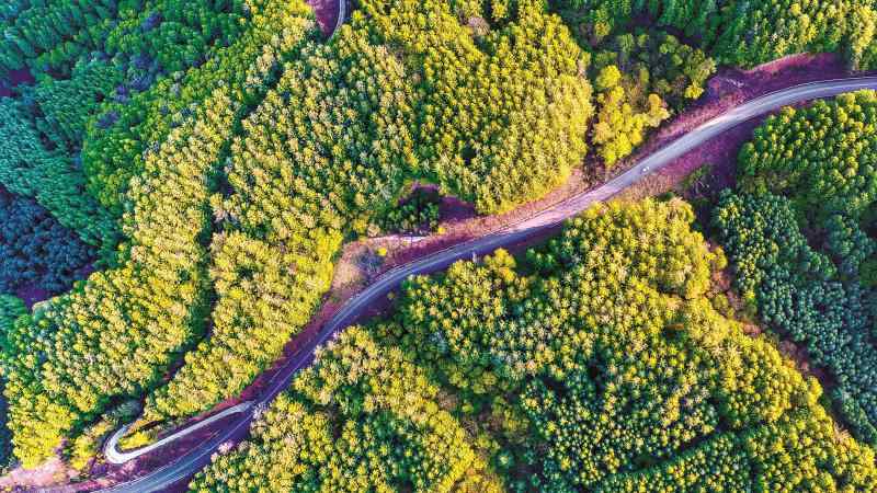 年度盘点 | 辽宁六大变化推进绿色发展