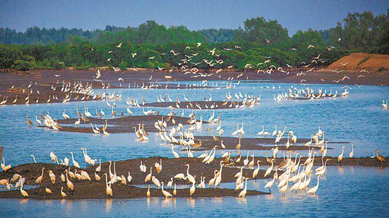 年度盘点 | 广东交出“高颜值”生态答卷