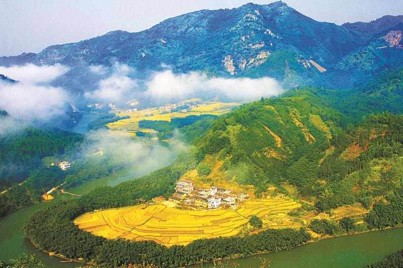 年度盘点 | 广东交出“高颜值”生态答卷