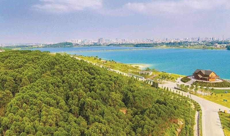 年度盘点 | 广东交出“高颜值”生态答卷