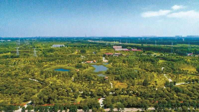 年度盘点 | 生态司：国土绿化 绘就美丽中国新画卷