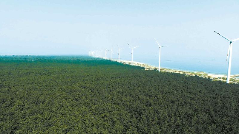 年度盘点 | 生态司：国土绿化 绘就美丽中国新画卷