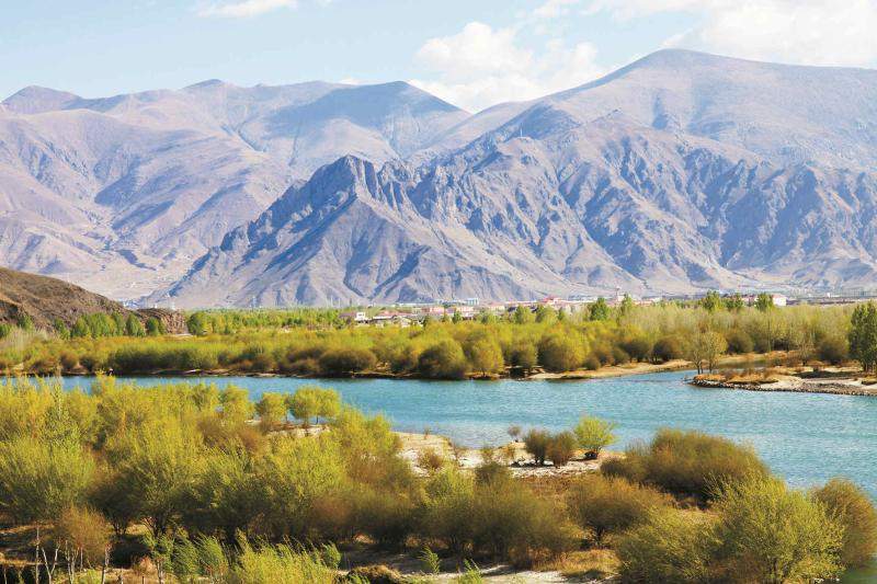 年度盘点 | 生态司：国土绿化 绘就美丽中国新画卷