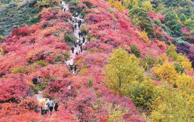 年度盘点 | 陕西：实施深绿战略 青山绿水入画来