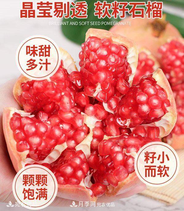 南阳特产：淅川软籽石榴(图1)