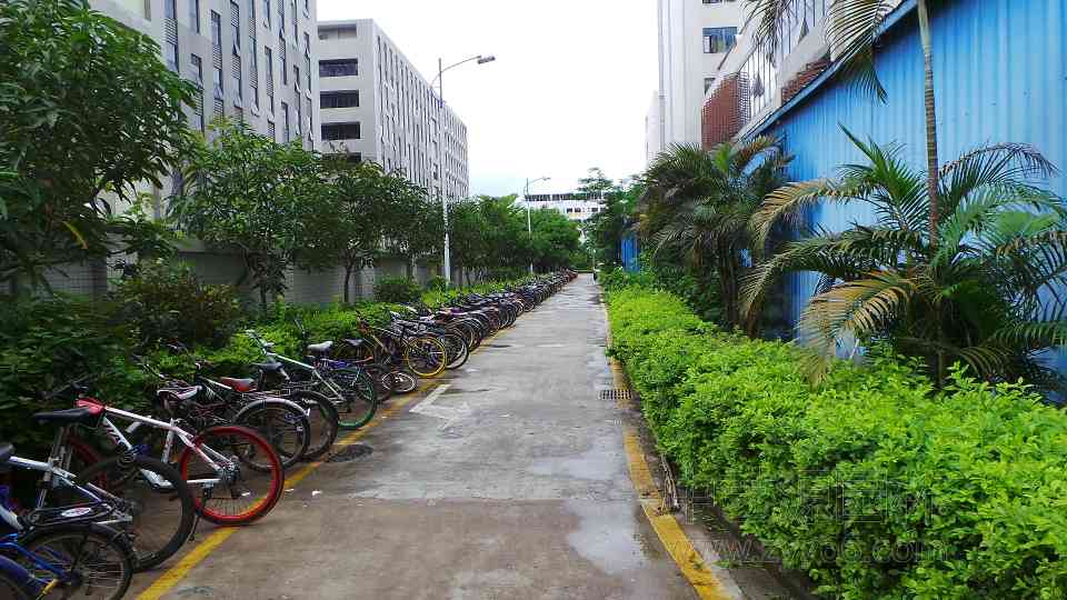 深圳园林绿化公司