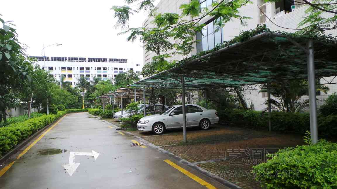 深圳园林绿化公司