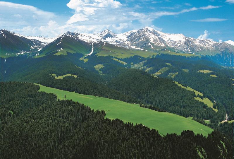 年度盘点 | 新疆：擦亮生态底色 书写绿色诗篇