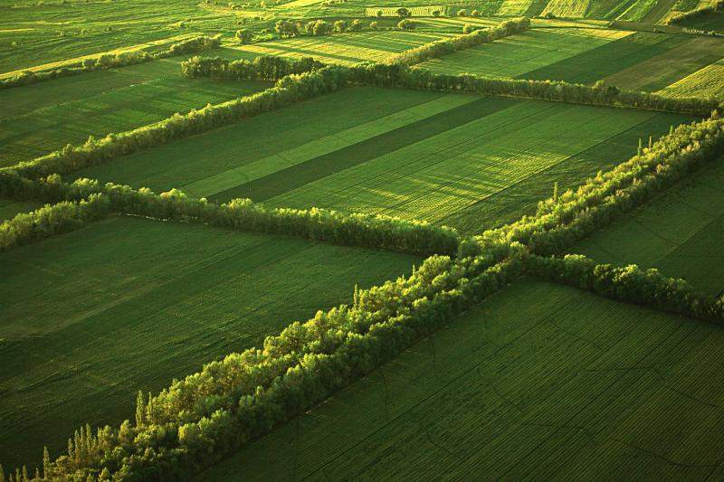 年度盘点 | 新疆：擦亮生态底色 书写绿色诗篇