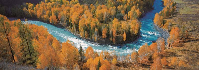 年度盘点 | 新疆：擦亮生态底色 书写绿色诗篇