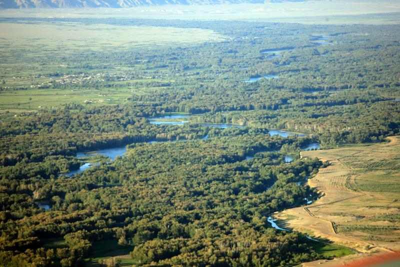 年度盘点 | 新疆：擦亮生态底色 书写绿色诗篇