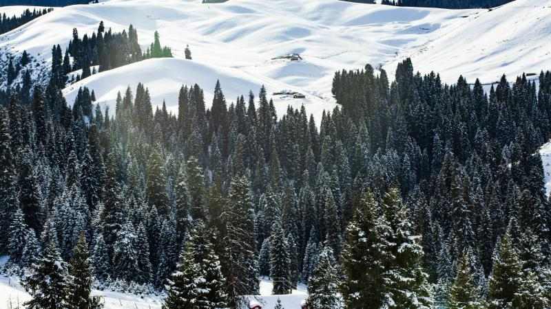 年度盘点 | 新疆：擦亮生态底色 书写绿色诗篇