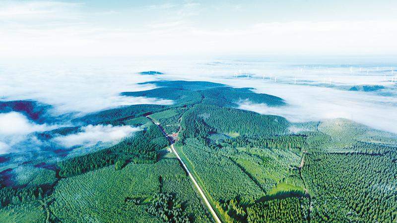 2022年我国实现1亿亩国土绿化既定目标