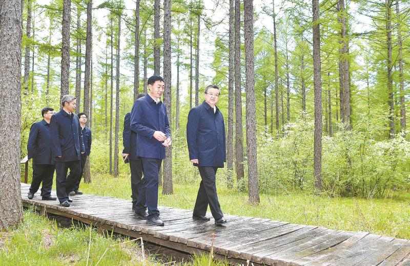 年度盘点 | 燕赵大地林草丰美万壑鸟鸣