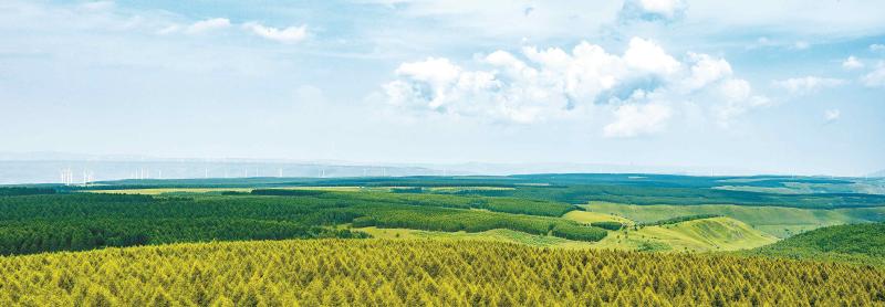 年度盘点 | 燕赵大地林草丰美万壑鸟鸣