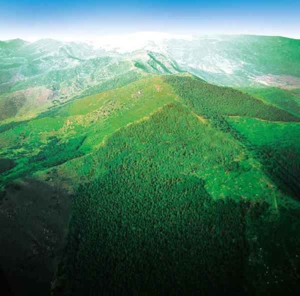 年度盘点 | 三北局：汇聚正能量书写高质量发展新篇章