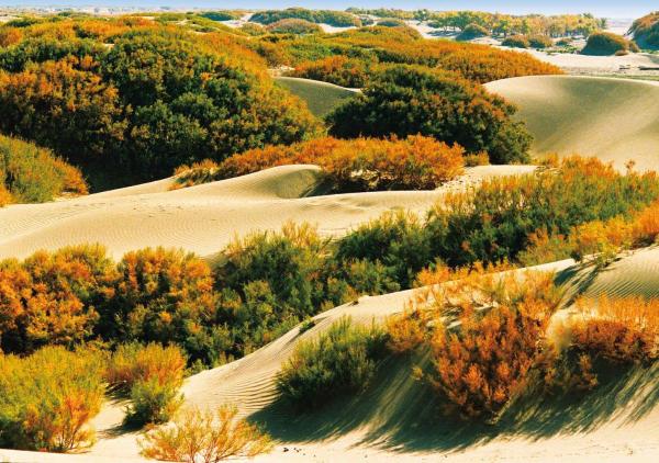 年度盘点 | 三北局：汇聚正能量书写高质量发展新篇章