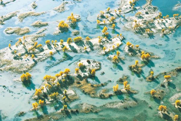 年度盘点 | 三北局：汇聚正能量书写高质量发展新篇章