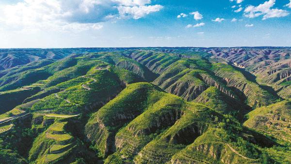 年度盘点 | 生态中心：推动生态建设工程向高质量发展迈进