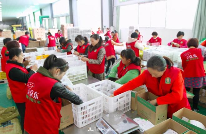 河南西峡:美丽乡村绿水青山“变现”金山银山(图4) 河南西峡:美丽乡村绿水青山“变现”金山银山(图4)