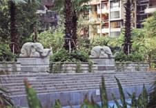 中艺源12年园林绿化施工经验 您的园林景观设计、施工、养护一