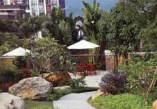 中艺源12年园林绿化施工经验 您的园林景观设计、施工、养护一