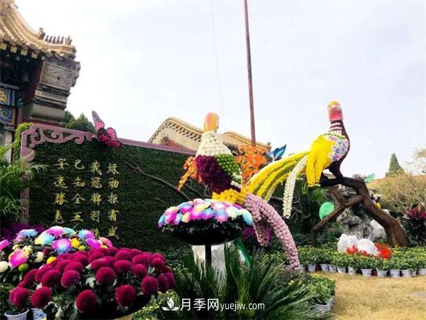 开封第38届菊花文化节盛大开幕美图来袭(图2) 开封第38届菊花文化节盛大开幕美图来袭(图2)