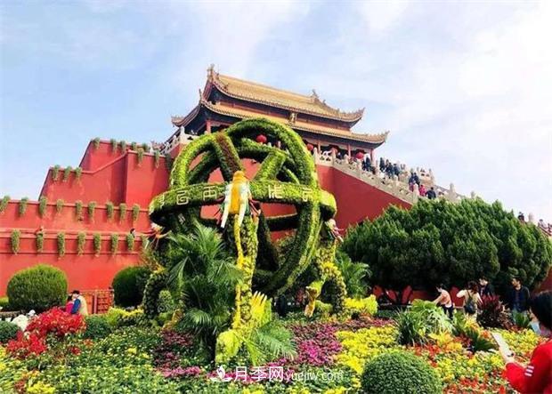 开封第38届菊花文化节盛大开幕美图来袭(图1) 开封第38届菊花文化节盛大开幕美图来袭(图1)