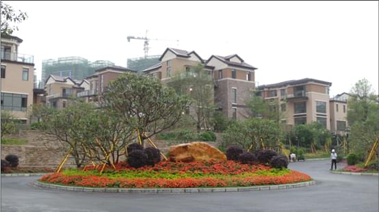 东莞的别墅东莞园林绿化 东莞的别墅东莞园林绿化