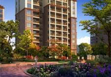 中艺源12年园林绿化施工经验 您的园林景观设计、施工、养护一