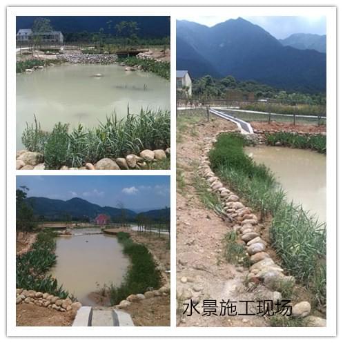 中艺源12年园林绿化施工经验 您的园林景观设计、施工、养护一站式服务商