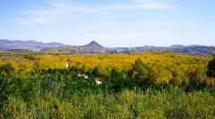 国家林草局新闻发布会：全球绿色净增长4%以上来自退耕还林还草