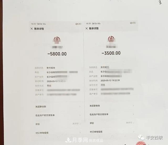 南阳西峡苗木人:蹊跷的卖树款(图3) 南阳西峡苗木人:蹊跷的卖树款(图3)