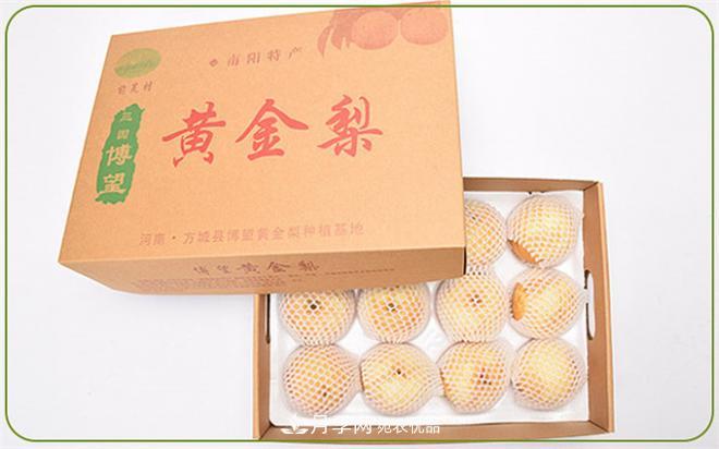 南阳特产:方城县博望黄金梨 特产 黄金梨 第4张 南阳特产:方城县博望黄金梨(图4)