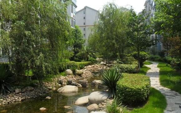 中艺源12年园林绿化施工经验 您的园林景观设计、施工、养护一站式服务商