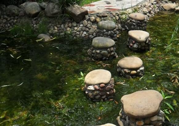 中艺源12年园林绿化施工经验 您的园林景观设计、施工、养护一