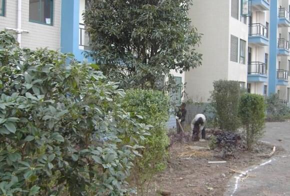 中艺源12年园林绿化施工经验 您的园林景观设计、施工、养护一站式服务商