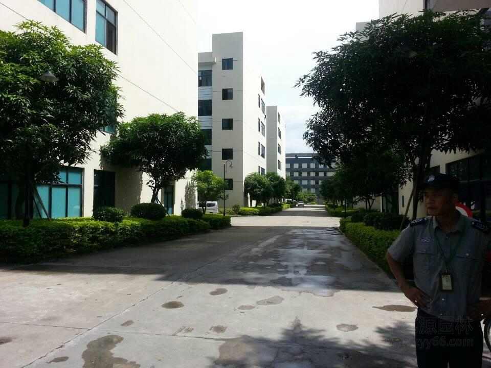 深圳园林景观公司 深圳园林景观公司