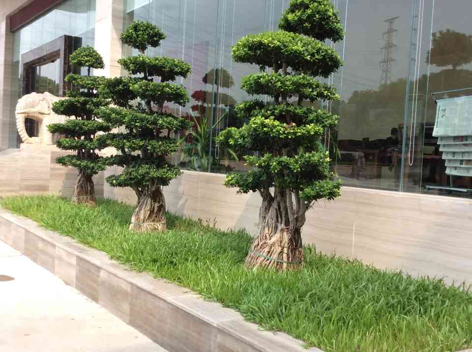 中艺源12年园林绿化施工经验 您的园林景观设计、施工、养护一站式服务商