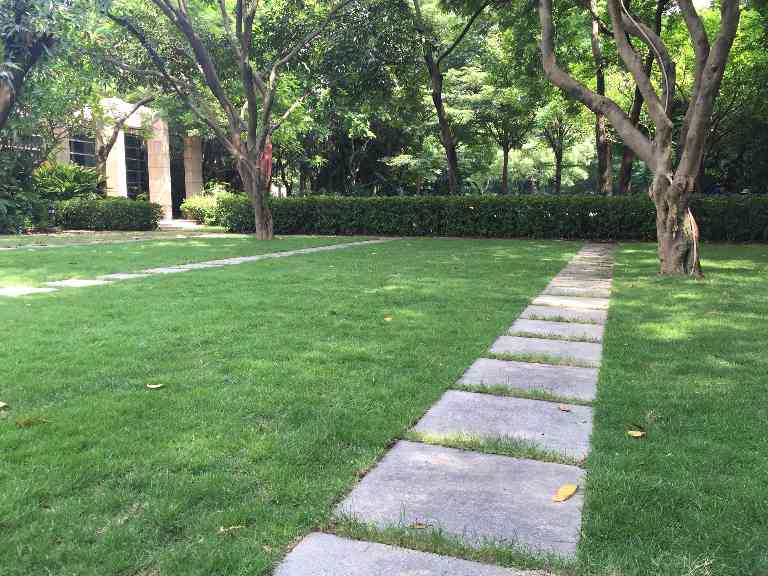 中艺源12年园林绿化施工经验 您的园林景观设计、施工、养护一站式服务商