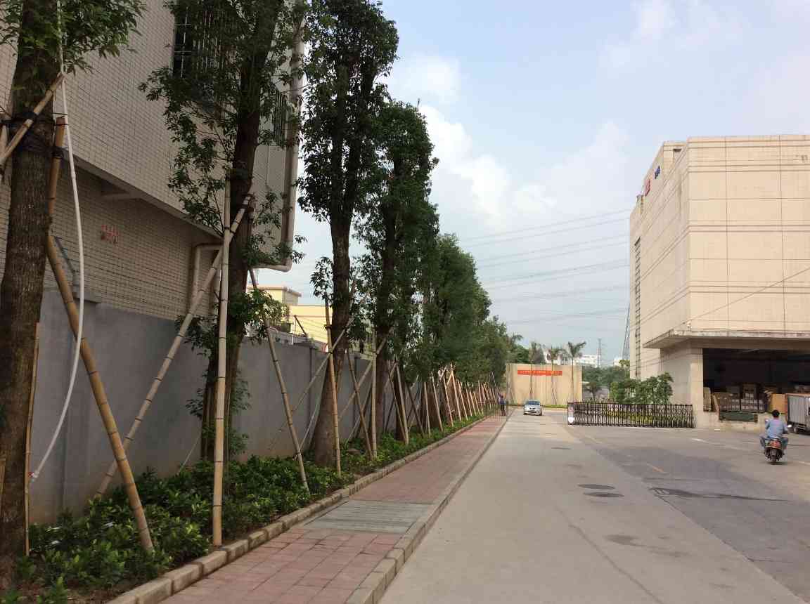 中艺源12年园林绿化施工经验 您的园林景观设计、施工、养护一站式服务商