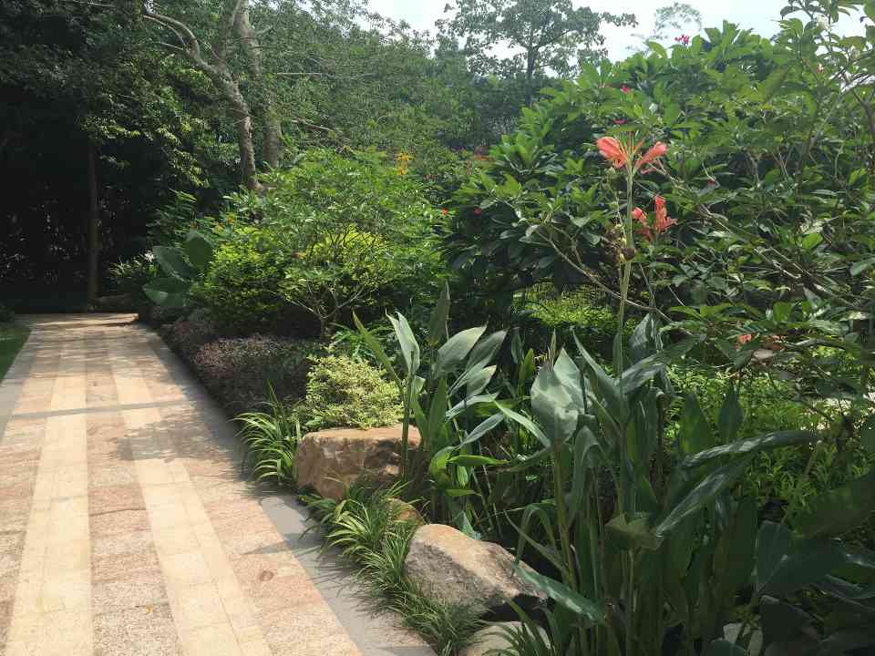 中艺源12年园林绿化施工经验 您的园林景观设计、施工、养护一站式服务商