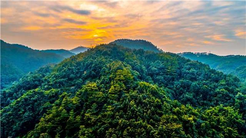 广东将打造100个以上绿美广东生态建设示范点