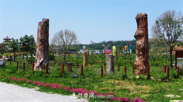 西安的春天,西部芳香园盛开的月季花(图3) 西安的春天,西部芳香园盛开的月季花(图3)