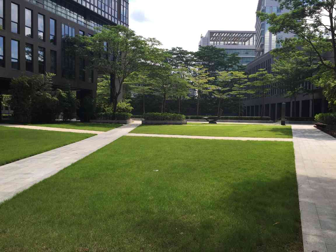 中艺源12年园林绿化施工经验 您的园林景观设计、施工、养护一